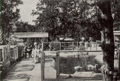 Old photo of Kyiv Zoo. 1908-1917